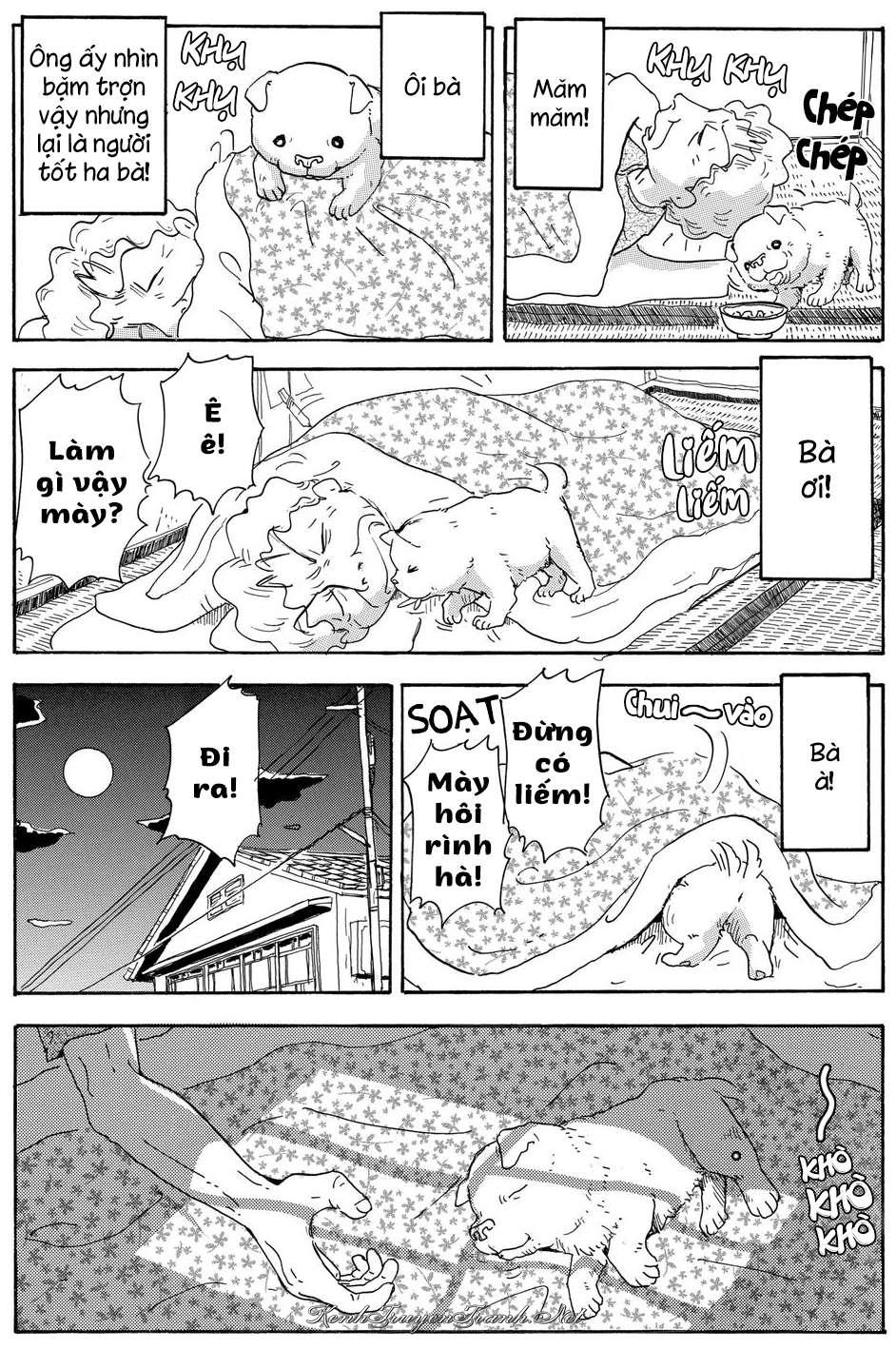 Truyện VI